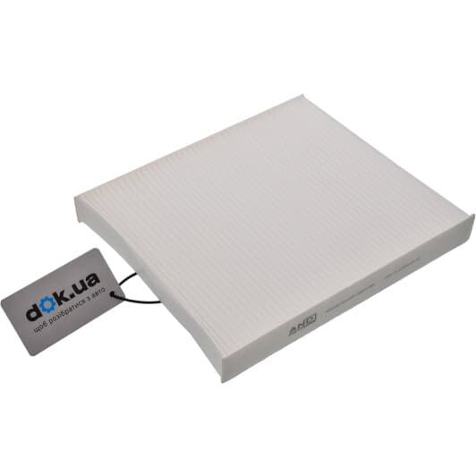 30129004 AND Фільтр салону