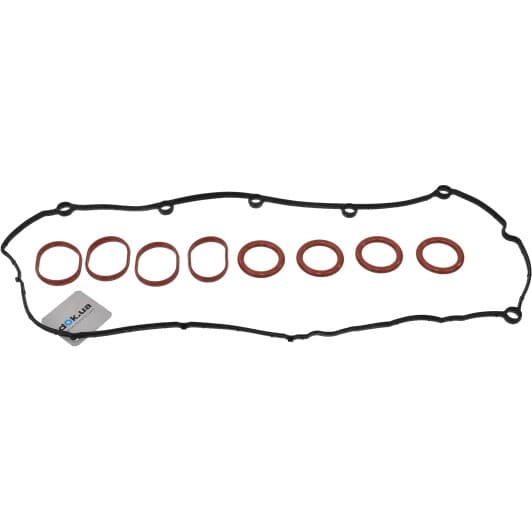 15-36571-01 Reinz Комплект прокладок клапанной крышки
