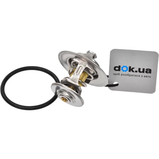 RD1517627387 Rider Термостат