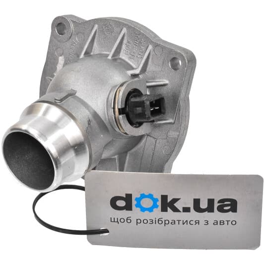 TM 12 105 Mahle Термостат