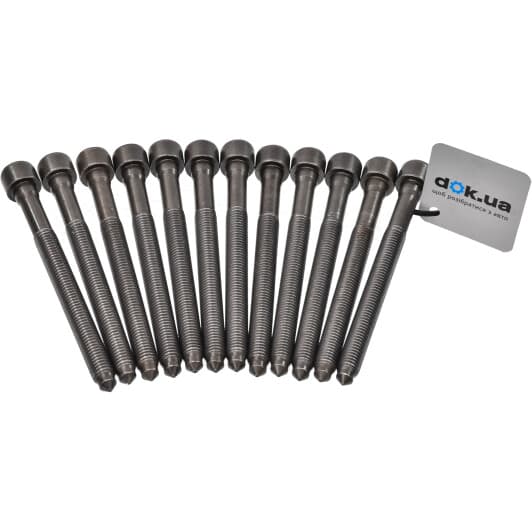 06D103385D VAG Болт ГБЦ