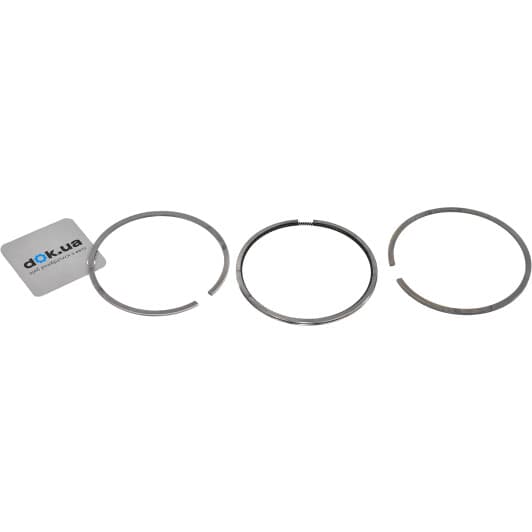 021 01 N0 Mahle Комплект поршневых колец