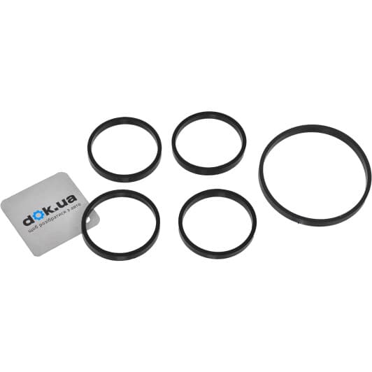 HA5005 Payen Комплект прокладок впускного коллектора