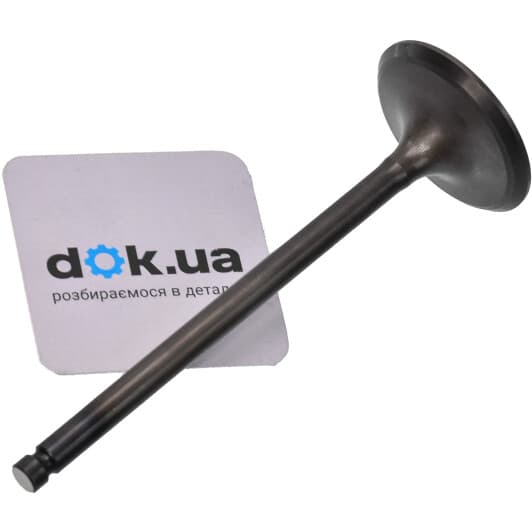 13201AA391 Subaru Впускний клапан