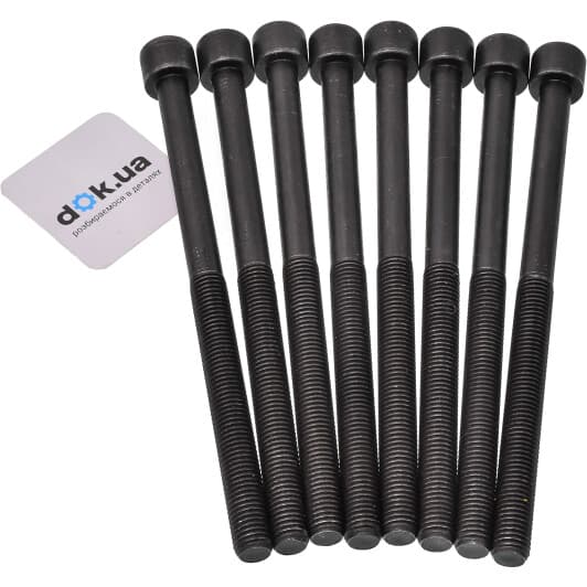 14-10882-01 Reinz Болт ГБЦ