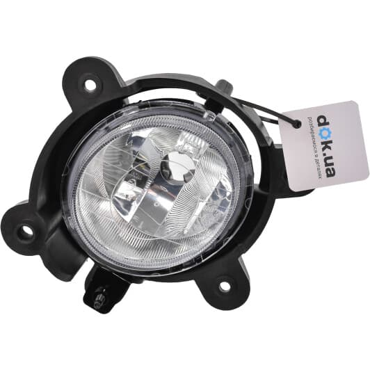 19-0630-01-9 TYC Передняя противотуманная фара для Kia Sorento