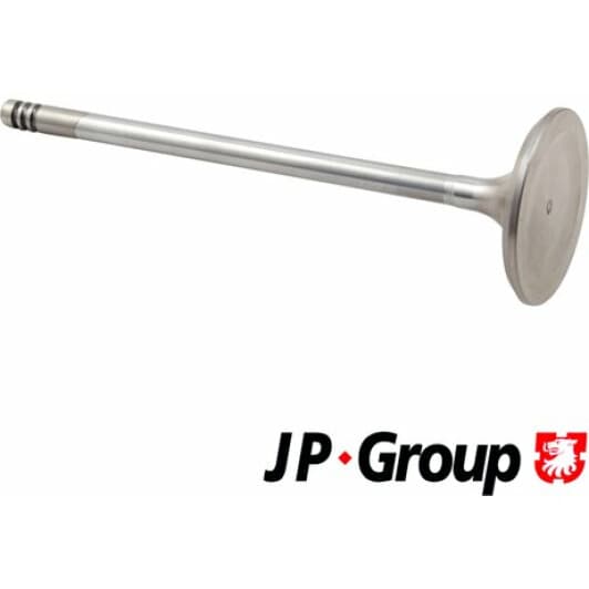 1211302000 JP Group Впускний клапан