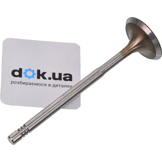 b19019 Borsehung Впускний клапан