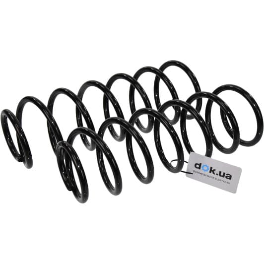 sr019tp RAISO Пружина підвіски