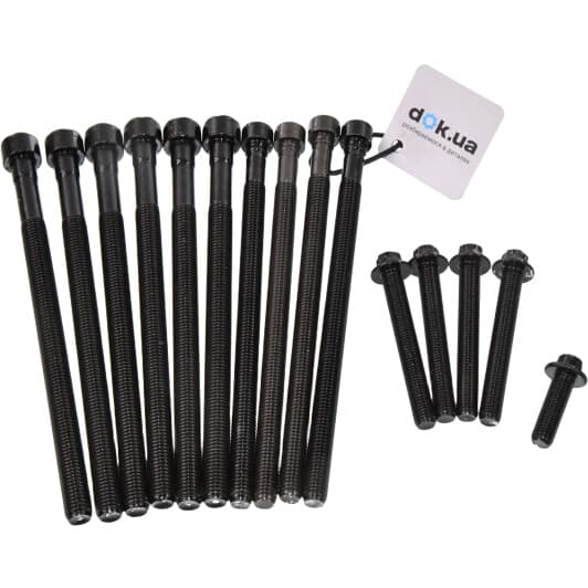 14-10010-01 Reinz Болт ГБЦ