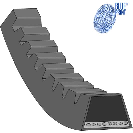 AD13V1500 Blue Print Клиновой ремень для Isuzu D-Max