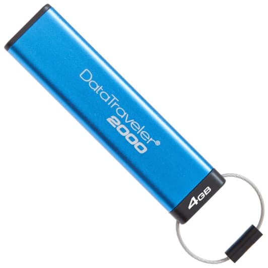 Флешка Kingston DataTraveler 2000 4 ГБ