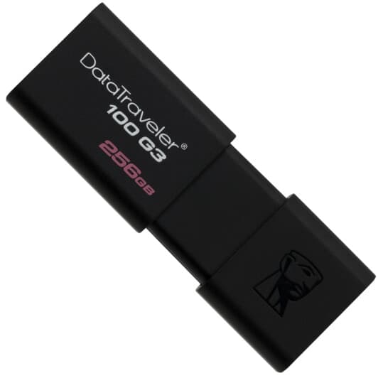 Флешка Kingston DataTraveler 100 G3 256 ГБ