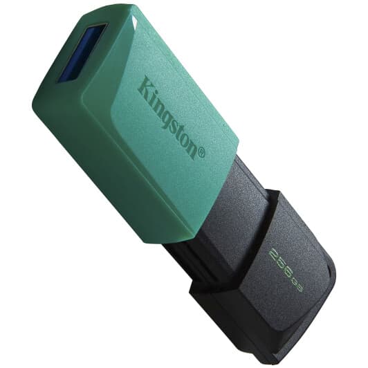 Флешка Kingston DataTraveler Exodia M 256 ГБ