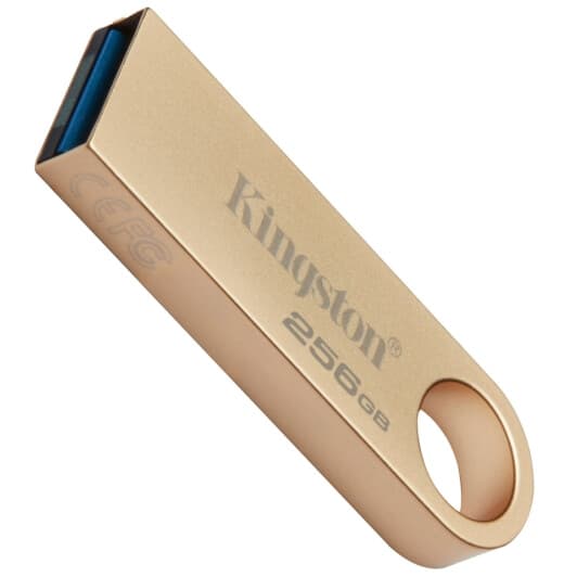 Флешка Kingston DataTraveler SE9 G3 256 ГБ