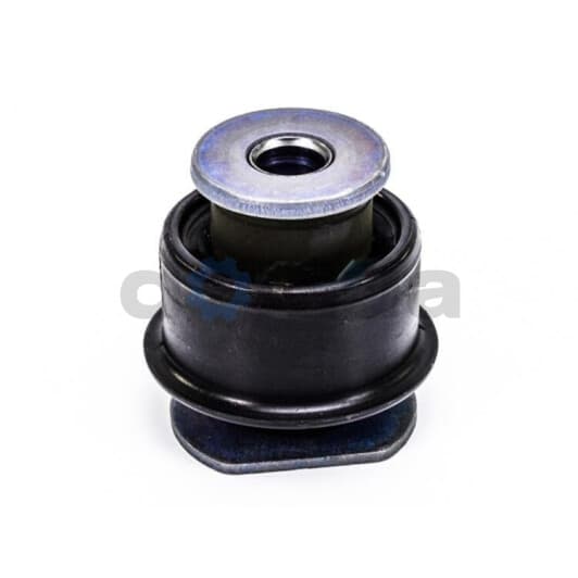 2250031 Sasic Сайлентблок рычага