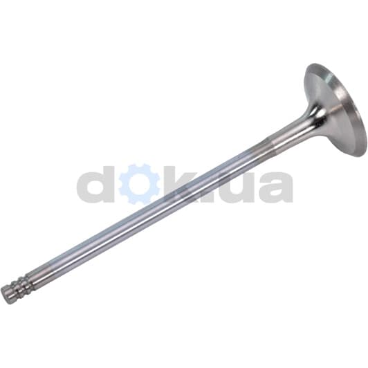 R6052/BMARCR Freccia Выпускной клапан