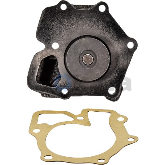 F114 Dolz Помпа