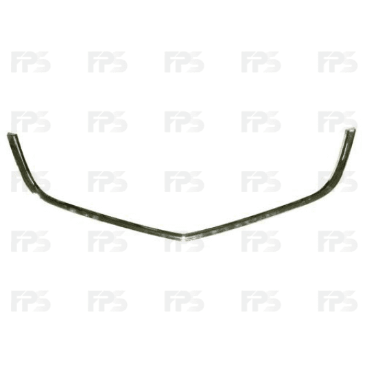 FP3007991 FPS Решітка радіатора для Honda Accord