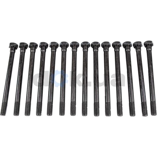 14-32000-02 Reinz Болт ГБЦ