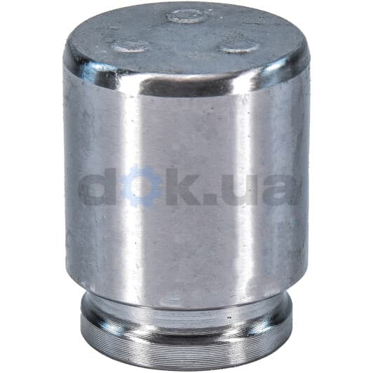 D025240 Autofren Seinsa Поршень тормозного суппорта