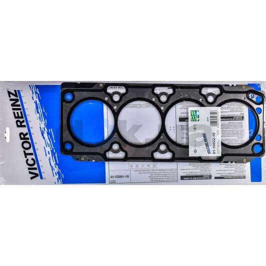 61-10022-10 Reinz Прокладка ГБЦ