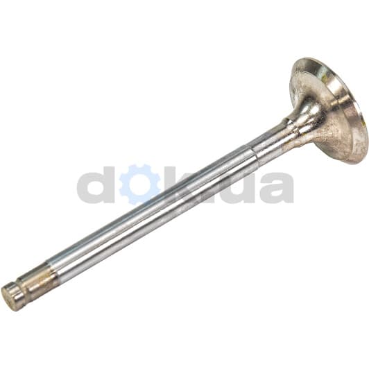 R4019/BMCR Freccia Випускний клапан