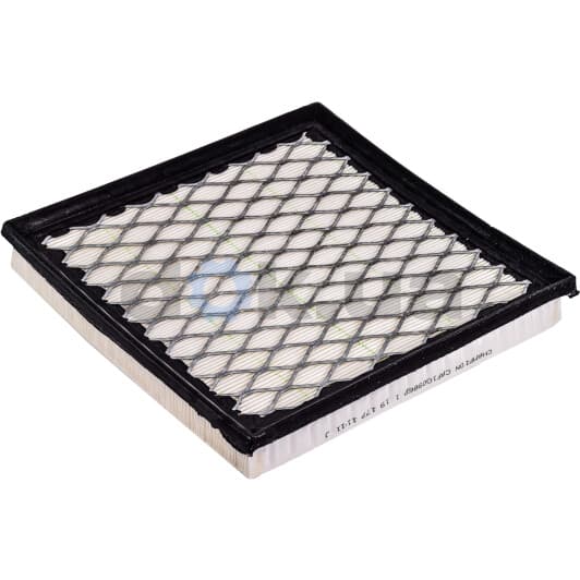 CAF100986P Champion Повітряний фільтр