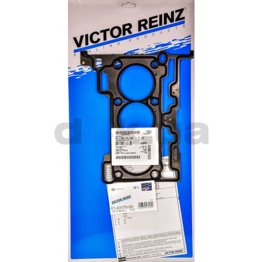 61-43170-00 Reinz Прокладка ГБЦ