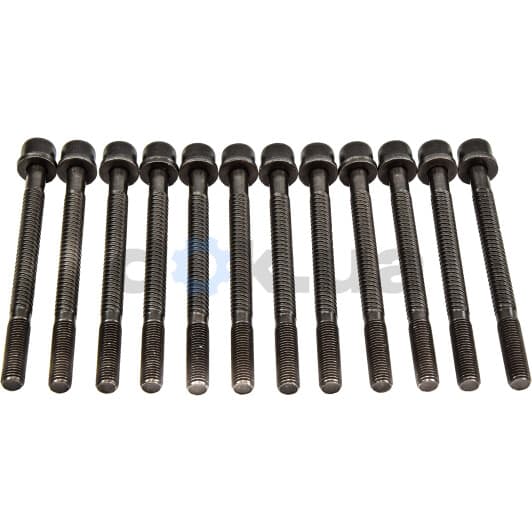 14-32049-01 Reinz Болт ГБЦ