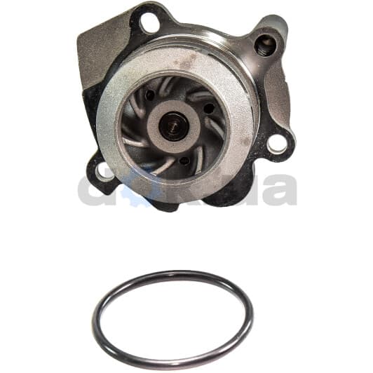 D1W049TT Thermotec Помпа