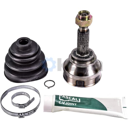 G1F026PC Pascal ШРУС