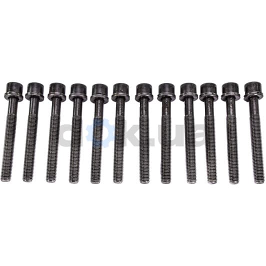 14-32046-02 Reinz Болт ГБЦ