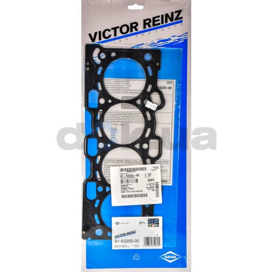 61-53255-00 Reinz Прокладка ГБЦ