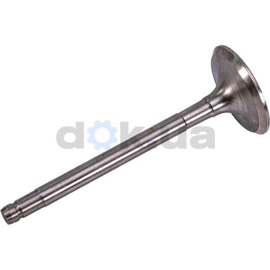 R4018/S Freccia Впускной клапан