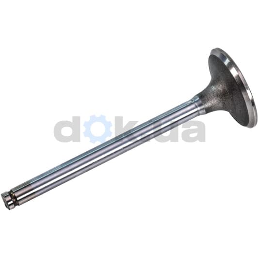 9480590 Sasic Впускной клапан