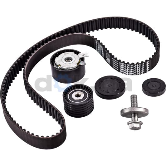 1754008 Sasic Комплект ременя ГРМ