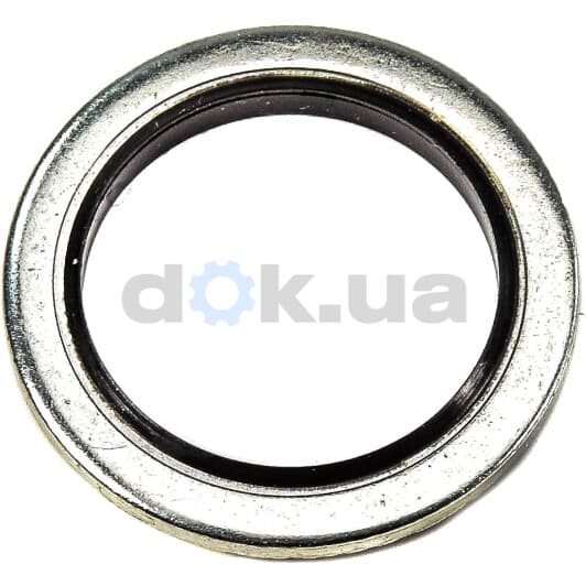 KG5012 Payen Уплотняющее кольцо сливной пробки