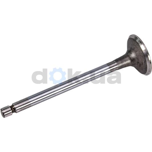 R6470/SCR Freccia Впускной клапан