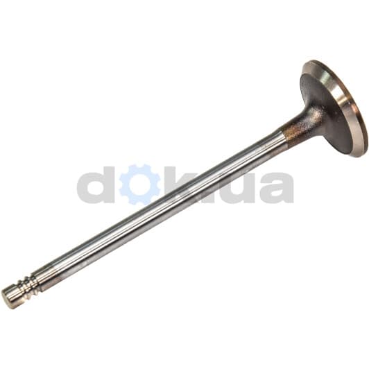 R6161/SCR Freccia Впускний клапан