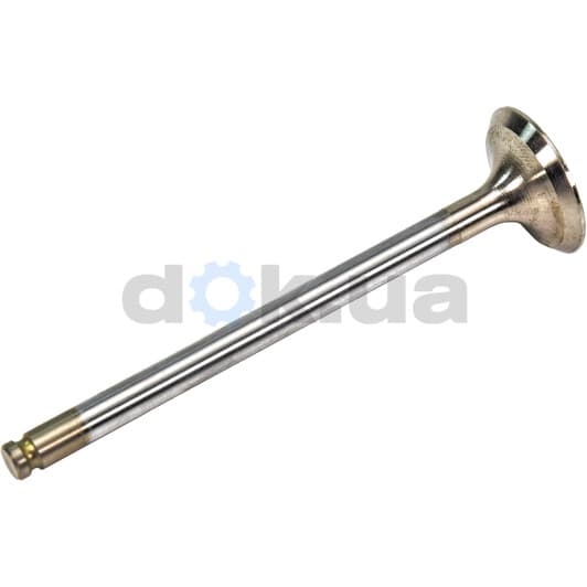 R3610/RCR Freccia Выпускной клапан для Fiat Regata