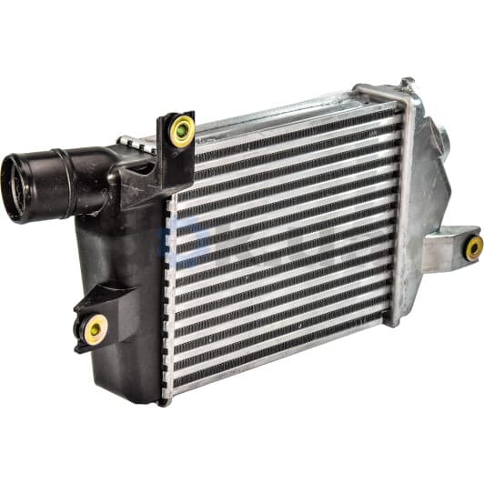 30366 NRF Інтеркулер