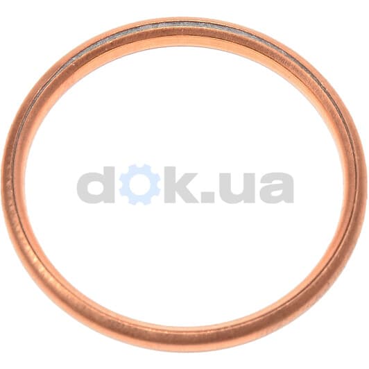 41-72077-30 Reinz Прокладка впускного коллектора