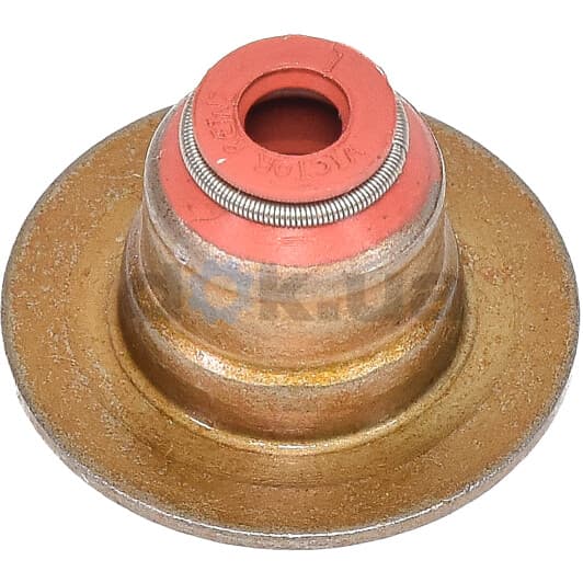 121215501 Reinz Комплект сальников клапанов