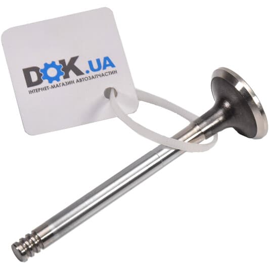 V004907 BGA Випускний клапан