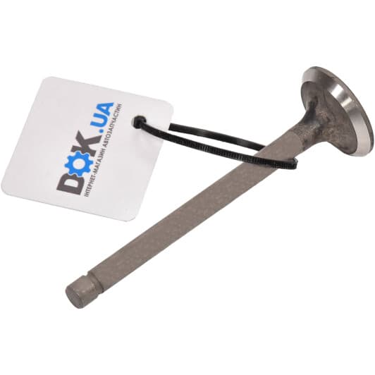 R4445/RNT Freccia Выпускной клапан