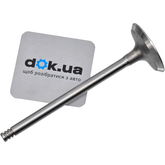 021 VE 31060 000 Mahle Впускний клапан