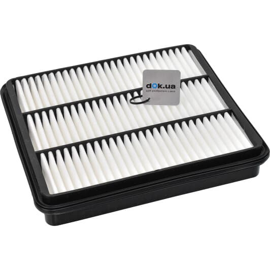 RD1340LX2907 Rider Воздушный фильтр