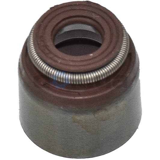 70-53036-10 Reinz Сальник клапана