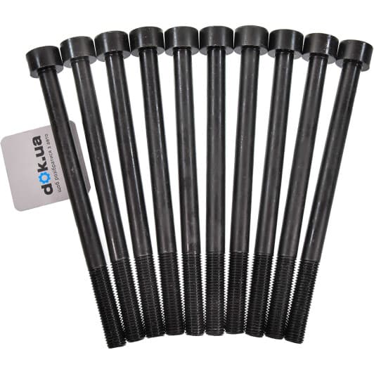 14-10173-01 Reinz Болт ГБЦ